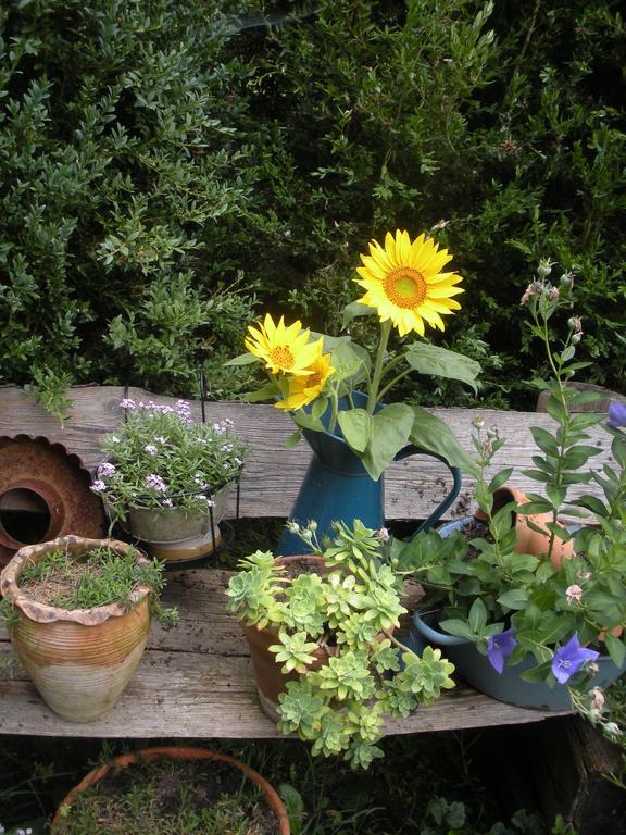 Ferme Saint Joseph Bed and Breakfast Le Fousseret Buitenkant foto