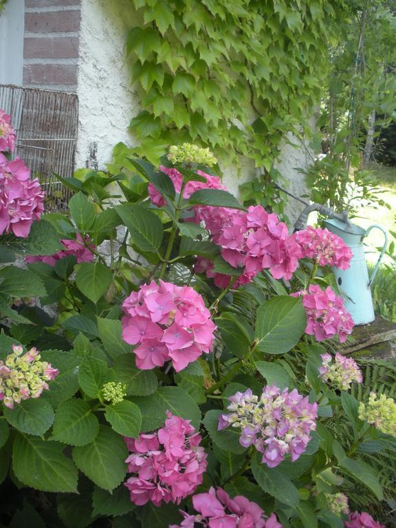 Ferme Saint Joseph Bed and Breakfast Le Fousseret Buitenkant foto