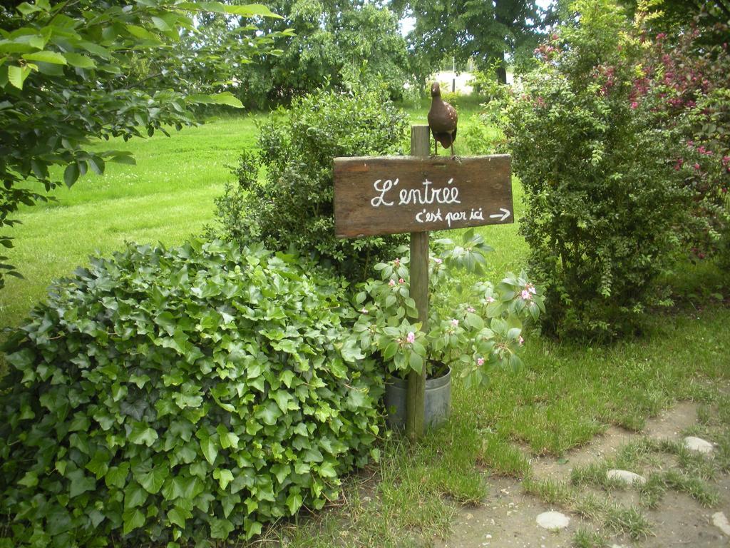 Ferme Saint Joseph Bed and Breakfast Le Fousseret Buitenkant foto